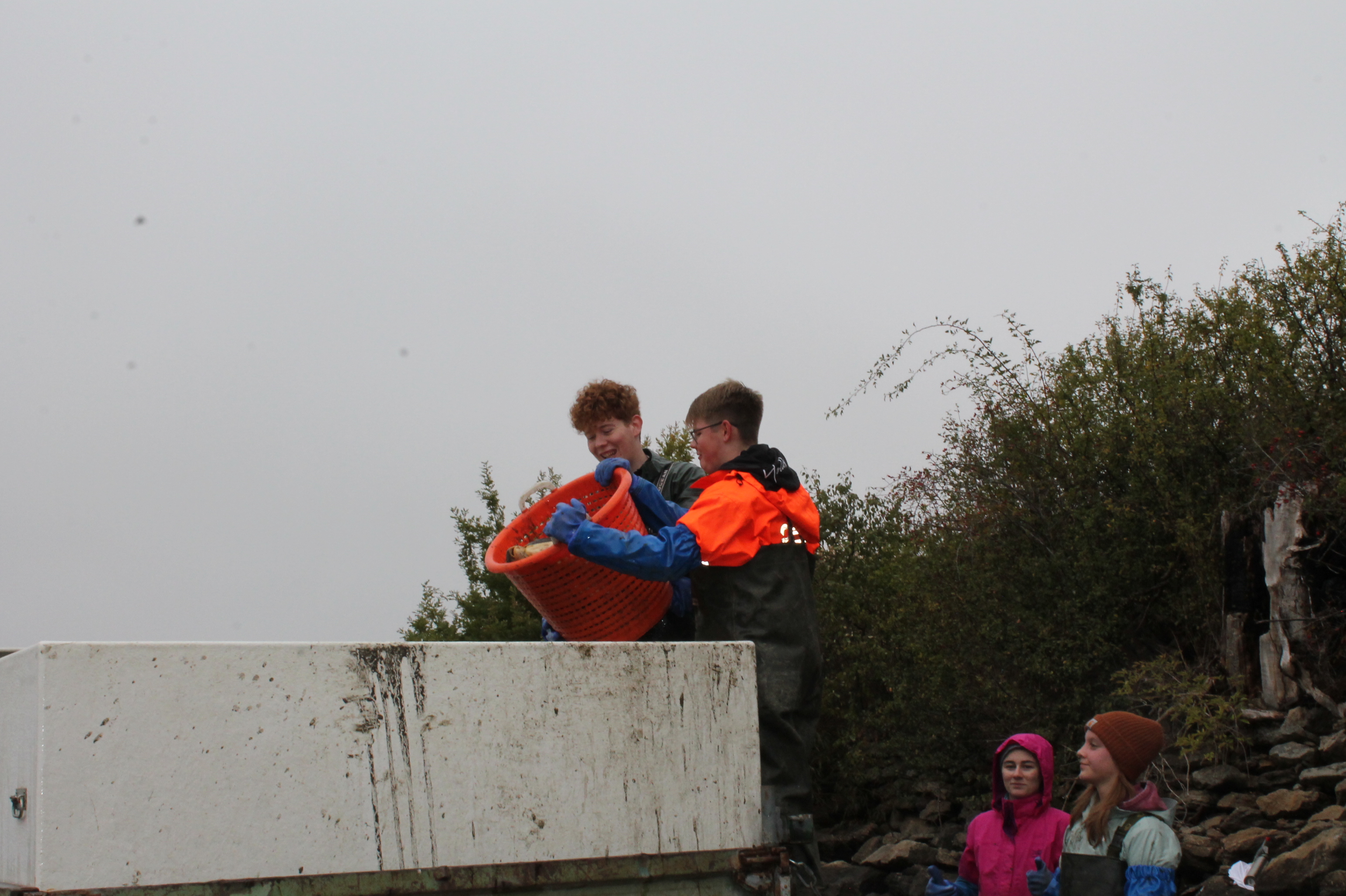 Abfischen 4