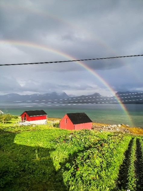 norwegen 05